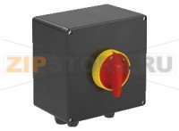 Выключатель Safety Switch Ex e 40 A 3 Pole, GRP Enclosure SAF.P.040.3P.1NO Pepperl+Fuchs