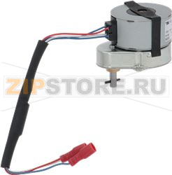 GEAR MOTOR CAMURRI 