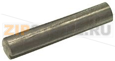 SPINA ELASTICA INOX 3x16 