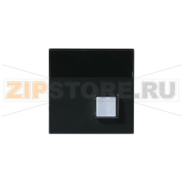 Плата центральная конрольного устройства, антрацитовая ABB 2TKA000630G1