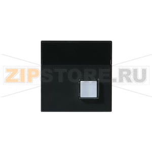 Плата центральная конрольного устройства, антрацитовая ABB 2TKA000630G1 