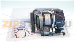 MOTOR ASSEMBLU 