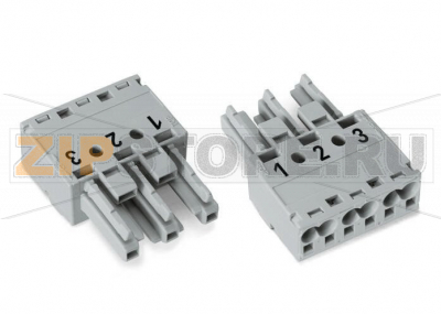 Разъем; 3-пол.; Код. B; 4,00 mm; серые Wago 770-243/081-000 Protected against mismating and maintenance-freePush-in CAGE CLAMP® spring pressure connection technology allows solid conductors to be simply pushed into a unit.Two wire connections per pole for loops or bridgesAdditional variable coding is possible.Components can be clearly printed on and color-coded to meet custom requirements....