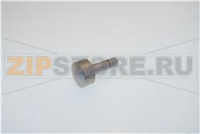 PULSANTE RECUPERO MONETE