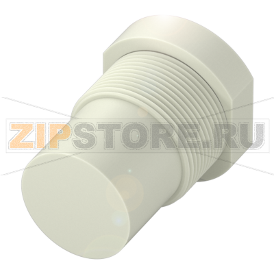 Крышка защитная и крышка портов Balluff BAM00HL 