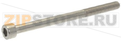 VITE A TESTA CILINDRICA M6x80 