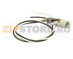 LAMPHOLD,SINGLE,24 200C LEADS 