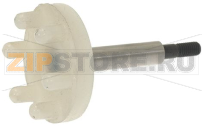 PERNO GIRANTE INOX FR M5X1 ø 24 mm 