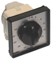 TIMER 48 HOURS MS65