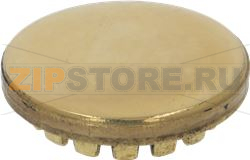 BURNER CAP BRASS PRINTED GLOSSY 