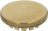 BURNER CAP BRASS PRINTED GLOSSY