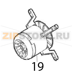 Motor Angelo Po FM611E1 Motor Angelo Po FM611E1Запчасть на деталировке под номером: 19