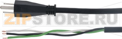 Cable With Plug (110V) 