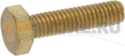 SCREW TE M4x16 UNI5739 BRASS 