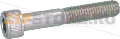 VITE A TESTA CILINDRICA M10x60 