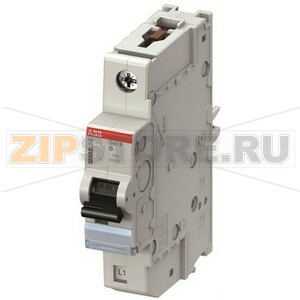 Выключатель автоматический S401P-B40 ABB 2CCG000387R0001 