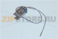 PORTALAMPADA; COMPLETE