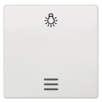 DELTA I-SYSTEM ТИТАНОВО-БЕЛЫЙ ВЫКЛЮЧАТЕЛЬ 1 КЛАВИША С ОКНОМ И СИМВОЛОМ "СВЕТ" 55X55MM Siemens 5TG6206