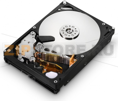 Жесткий диск NetApp E-X4021A-R6 