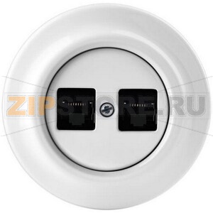 Накладка с суппортом для информационных разъёмов, белый фарфор ABB 2CHK291018C4300 