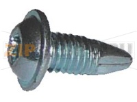 VITE M5x11 PER CERNIERA OBLÒ