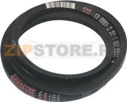 COURROIE CLASICA A49 