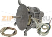 MOTOR HANNING L9XW84D-393