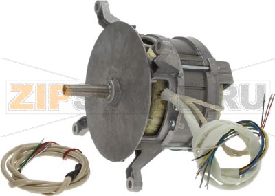 MOTOR HANNING L9XW84D-393 
