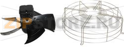 FAN [C] 