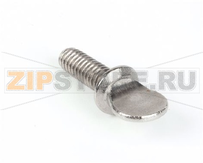 SCREW 1/4-20X3/4 THMB,S/S 