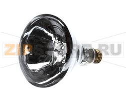 LAMPADA, CHIARA, INFARINATA, NON 