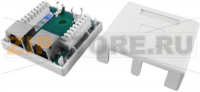 SB1-2-8P8C-C5e-SH-WH Розетка компьютерная RJ-45(8P8C), категория 5e, экранированная, двойная, внешняя, Dual IDC