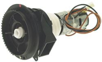 MOTORE 100V