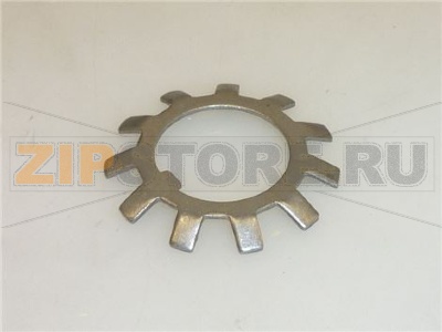 ROSETTA GRUPPO DOSATORE 