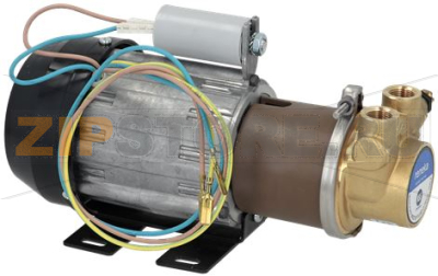 MOTOR WITH PUMP 230V 