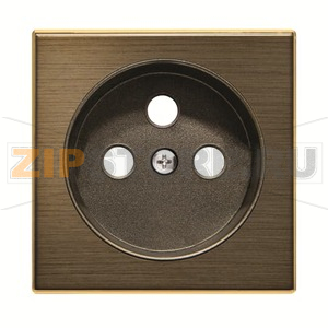 Накладка для розетки французского стандарта с плоской поверхностью, античная латунь ABB 2CLA858790A1201 