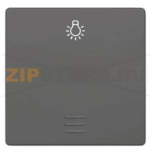 DELTA I-SYSTEM ЧЕРНЫЙ МЕТАЛЛИК ВЫКЛЮЧАТЕЛЬ 1 КЛАВИША С ОКНОМ И СИМВОЛОМ &quot;СВЕТ&quot; 55X55MM Siemens 5TG6226 