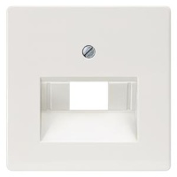 DELTA I-SYSTEM ТИТАНОВО-БЕЛЫЙ КРЫШКА СИСТЕМНОЙ РОЗЕТКИ CAT. 3+5/ BTR CAT.6 55X55MM Siemens 5TG2545