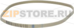 BELT 1234 J5 EL POLYURETHANE 