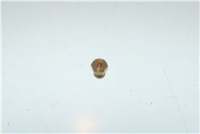UGELLO D 115 RPD