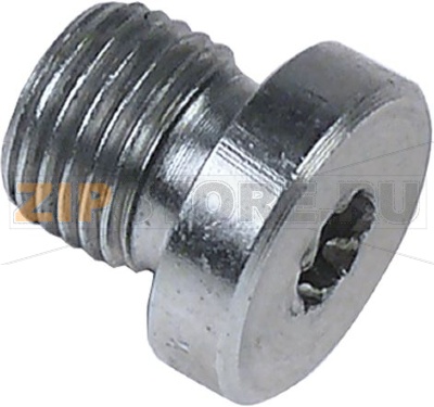THREADED LOCKING SCREW 1/4 