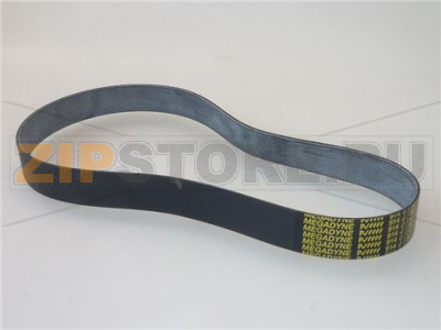 CINGHIA POLY-V 452 J H31 12 GOLE 