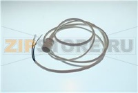 PORTALAMPADA G5 CAVO L.1700