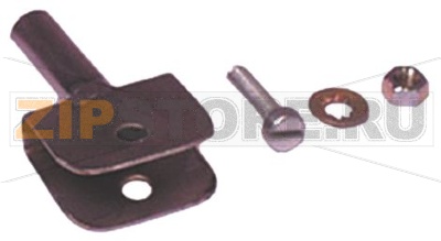 НАПРАВЛЯЮЩАЯ СКОЛЬЖЕНИЯ НАШОКВАТЕЛЬНОГО ЭЛЕМЕНТА С КРЫЛЫШКАМИ 