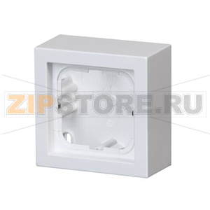 Коробка, монтаж: накладной, белая ABB 2TKA00001616 