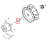 Ring gasket support Angelo Po FX101E3 