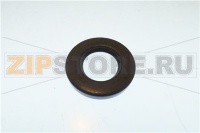 OIL SEAL
