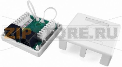 Hyperline SB1-2-8P8C-C5e-WH Розетка компьютерная RJ-45(8P8C), категория 5e, двойная, внешняя, Dual IDC 