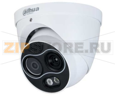 IP-камера с ИИ Dahua DHI-TPC-DF1241P-TB2F2-S2 