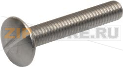 VIS INOX M6x35 